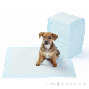 Dog training pads